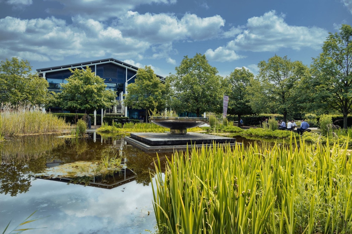 St John’s Innovation Centre seen across a pond and reeds on a sunny day.